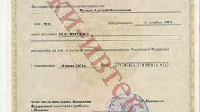 Что такое ИНН юридического лица или ИП в Центро