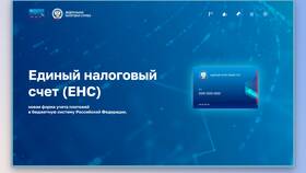 Что значит единый налог в Центро