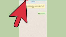 Как написать в поддержку WhatsApp в Центро