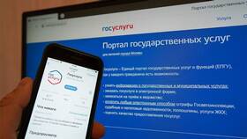 Как оформить пропуск через портал Госуслуги в Центро