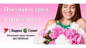 Как оплачивать покупки через Яндекс Сплит в Центро