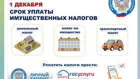 Как оплатить налоги через личный кабинет налогоплательщика в Центро