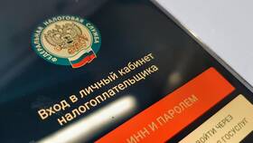 Как проверить налог юридического лица в Центро
