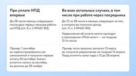 Как самозанятые платят страховые взносы в Центро