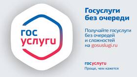 Как создать услугу на портале Госуслуг в Центро