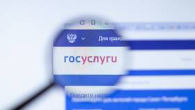 Почему на Госуслугах произошла ошибка? в Центро