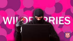 Почему Wildberries Bank отклоняет пополнение кошелька в Центро