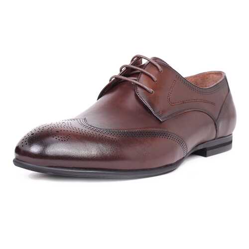 Туфли мужские Pierre Cardin 710017789 коричневые 40 RU в Центро