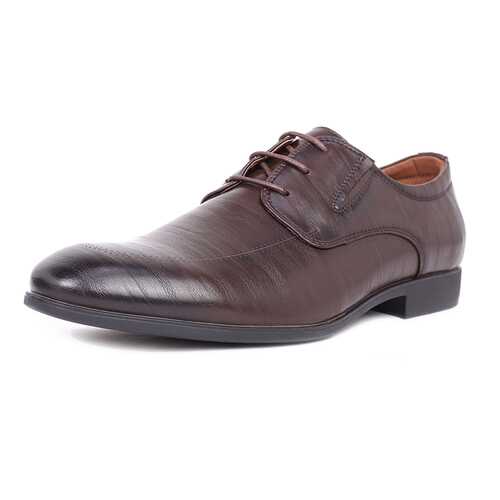 Туфли мужские T.Taccardi 03406360 коричневые 41 RU в Центро